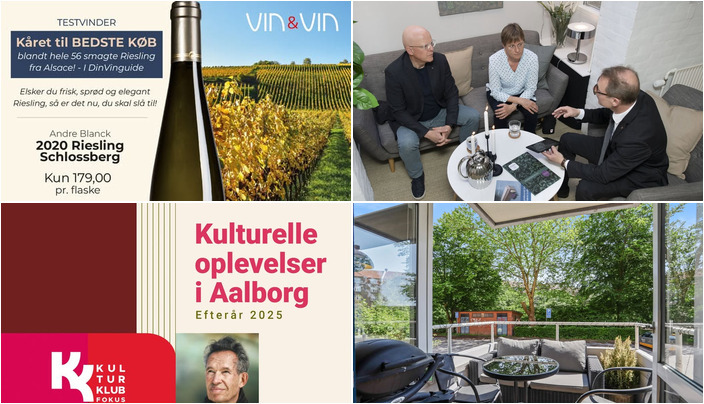 Nyt fra Mæglerhuset Aalborg, Fokus Folkeoplysning, Vin & Vin Aalborg og 1 anden