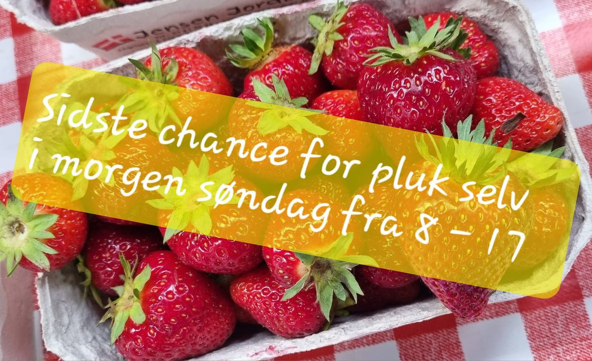 Hold trit med lokalområdet: Nyt fra Sæby