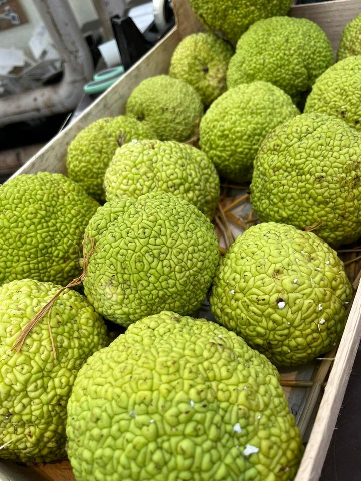 Se dagens updates fra Odder her