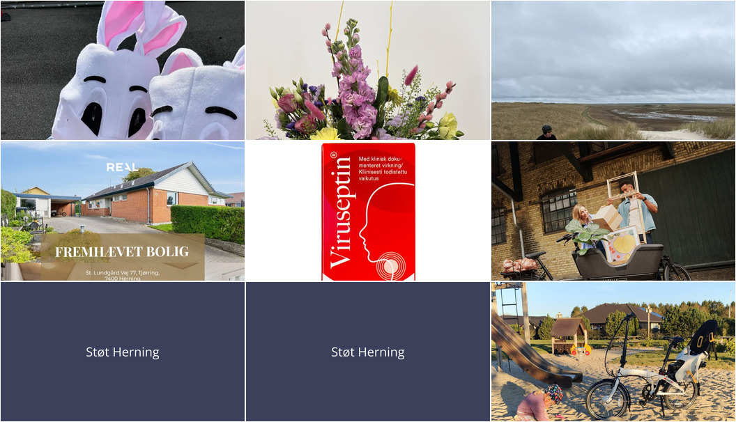 Nyt fra RealMæglerne Herning, Herning Svømmehal, Cykelkram ApS og 4 andre