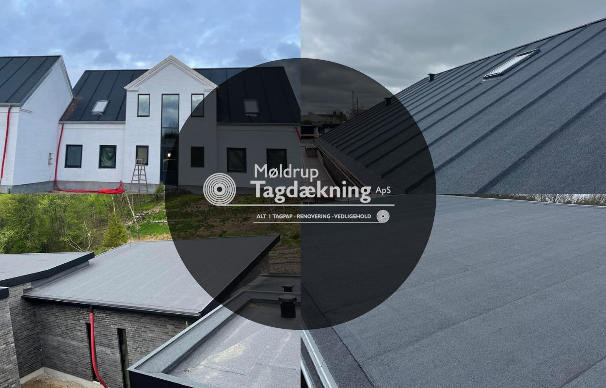Hold dit tag i topform med Møldrup Tagdækning