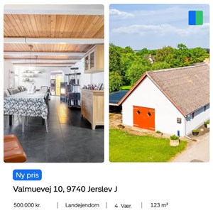 opslagsbillede