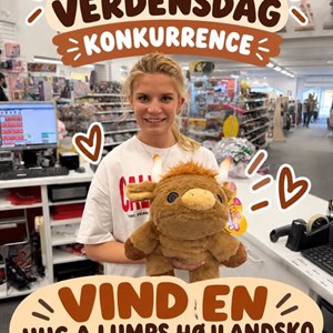 Opslagsbillede