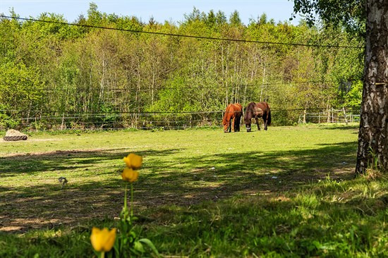 Top 6 over dyreste boliger til salg i Broby. Priser op til 13.000.000 kr