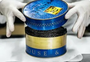 Se dagens updates fra Risskov her