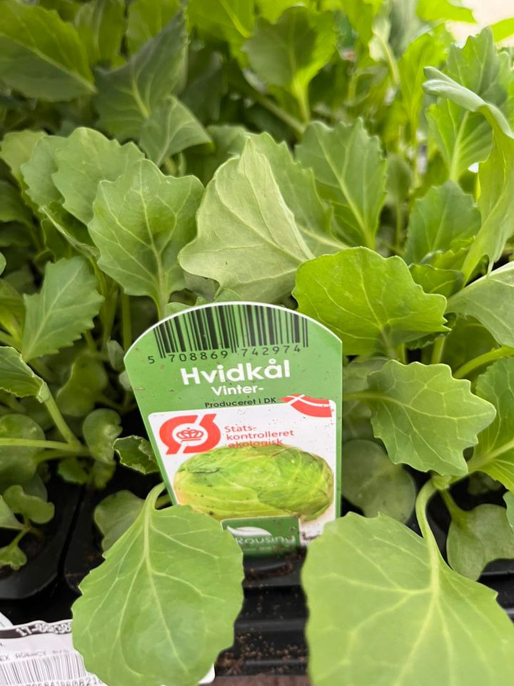 Hold dig ajour med dagens opdateringer fra Odder