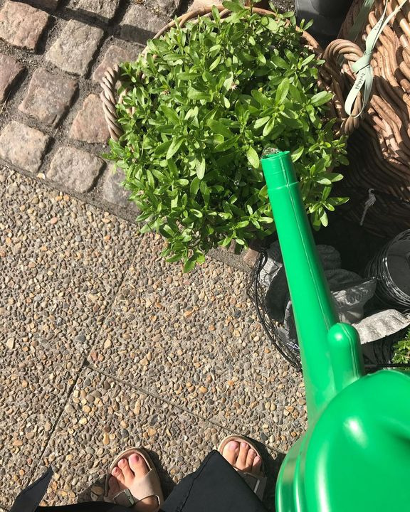 Opslagstavlen: Nyeste opdateringer fra Hjørring