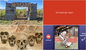 Uge med spændende aktiviteter i Søndersø: Fra pluk-selv græskar til evolutionære foredrag