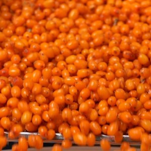 Opslagsbillede