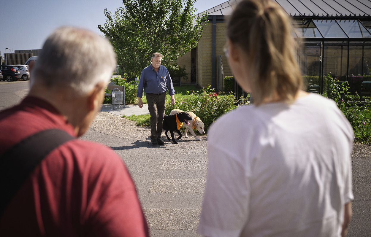 31 hunde skal til optagelsesprøve på plejecenter Kildegården i Skanderborg for at blive en del af TrygFonden Besøgshunde