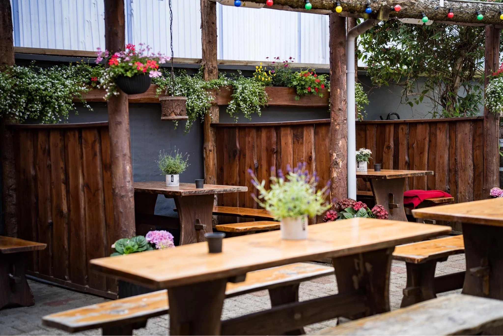 Powerpull Ørum Djurs - efterfest på Kruset