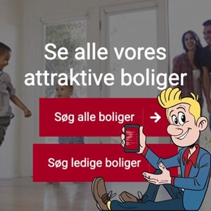 opslagsbillede