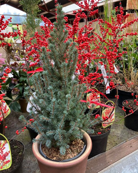 Opdatér dig her: Det nyeste fra Hobro