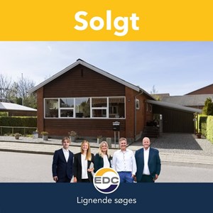 opslagsbillede