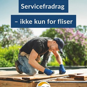 Opslagsbillede