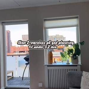 Opslagsbillede