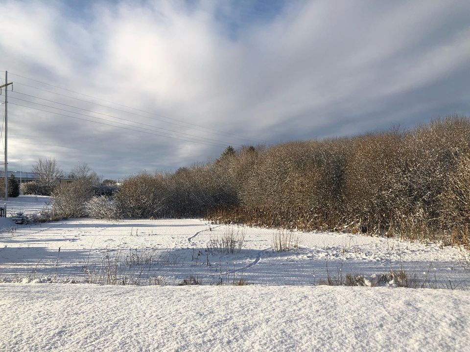 Det nyeste på Hammels opslagstavle