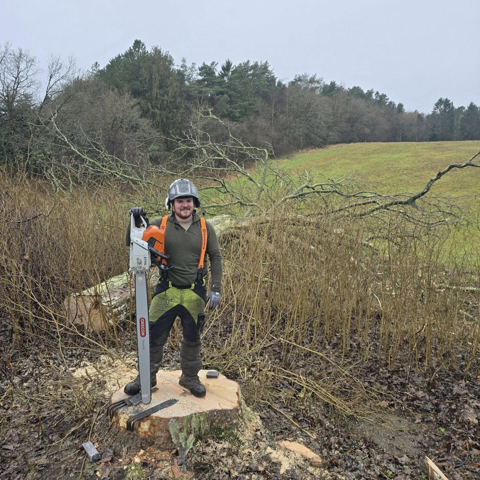 Djurslands Træfældning