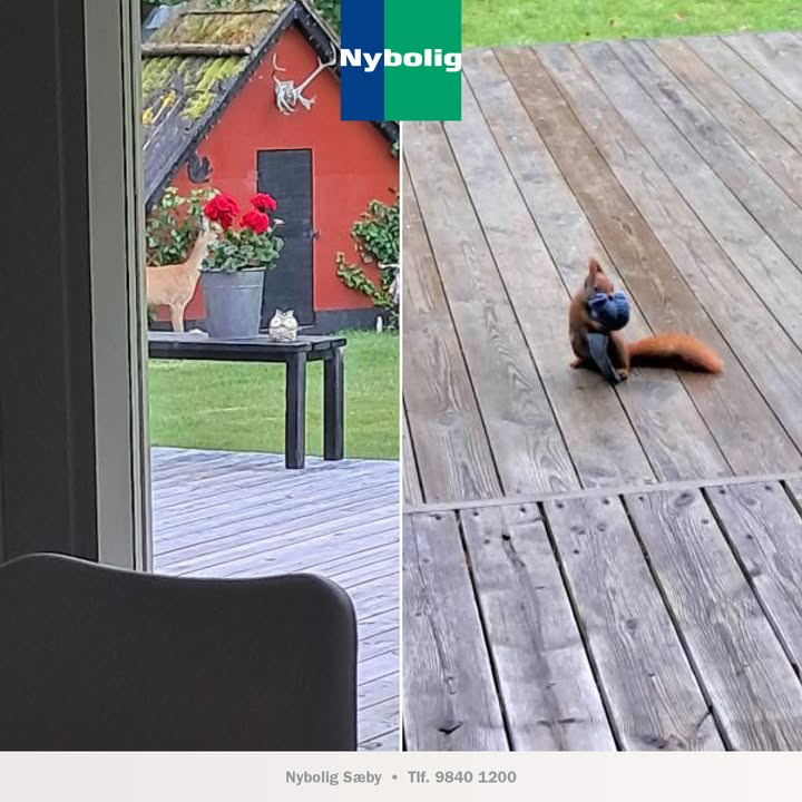 Nybolig Sæby A/S giver et sneak peek på charmerende fritidshus i naturskønne omgivelser