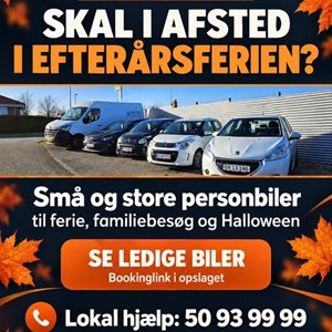 Opslagsbillede