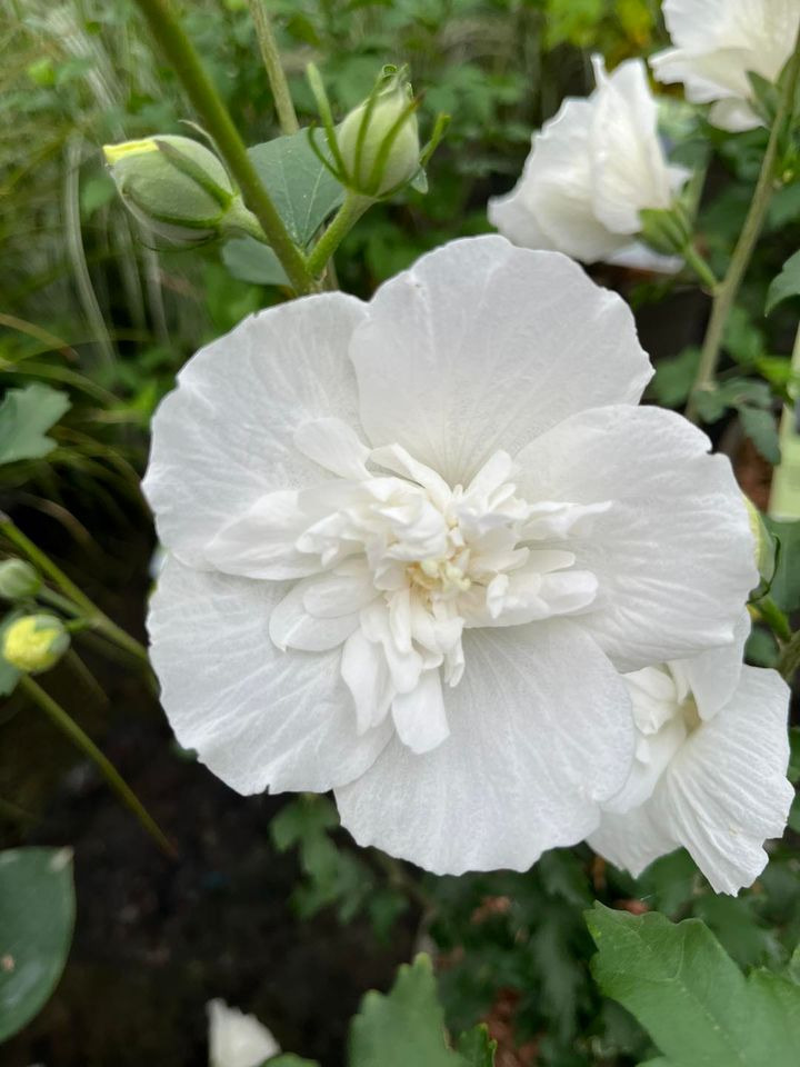 Nyt på opslagstavlen i Horsens