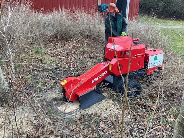 JK Anlæg ApS tilbyder professionel stubfræsning for alle størrelser