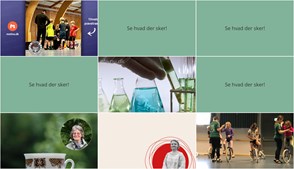 Oplev spændende aktiviteter i Jægerspris - fra floorball til etisk debat