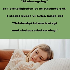 Opslagsbillede