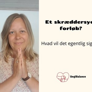 Opslagsbillede