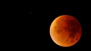 Oplev Mols Bjerge om natten med nattevandring og supermåne