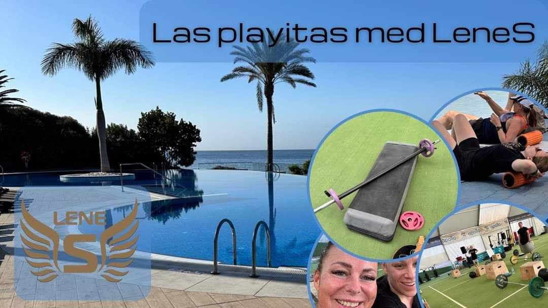 Opdatér dig her: Det nyeste fra Vejle