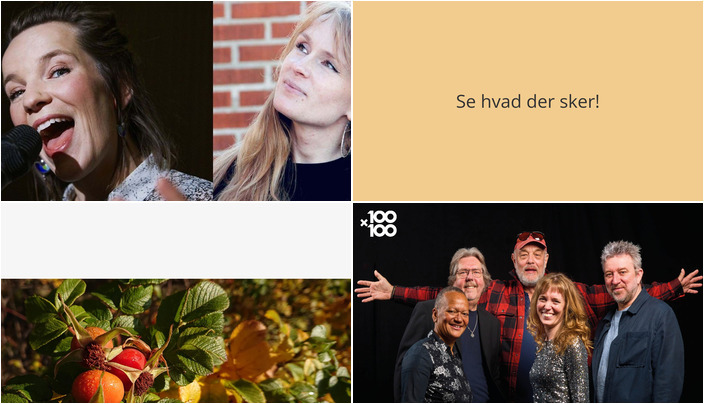 Weekend i Svaneke: Musikalske talenter, sanketure og irsk folkemusik