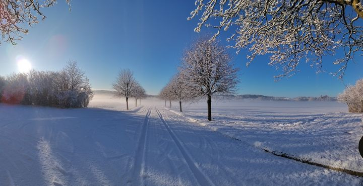 Opdatér dig her: Det nyeste fra Viborg