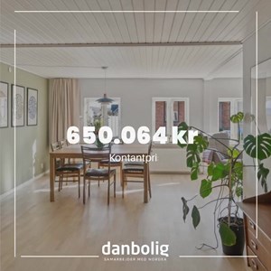 opslagsbillede