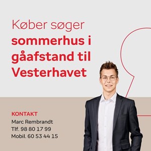 opslagsbillede