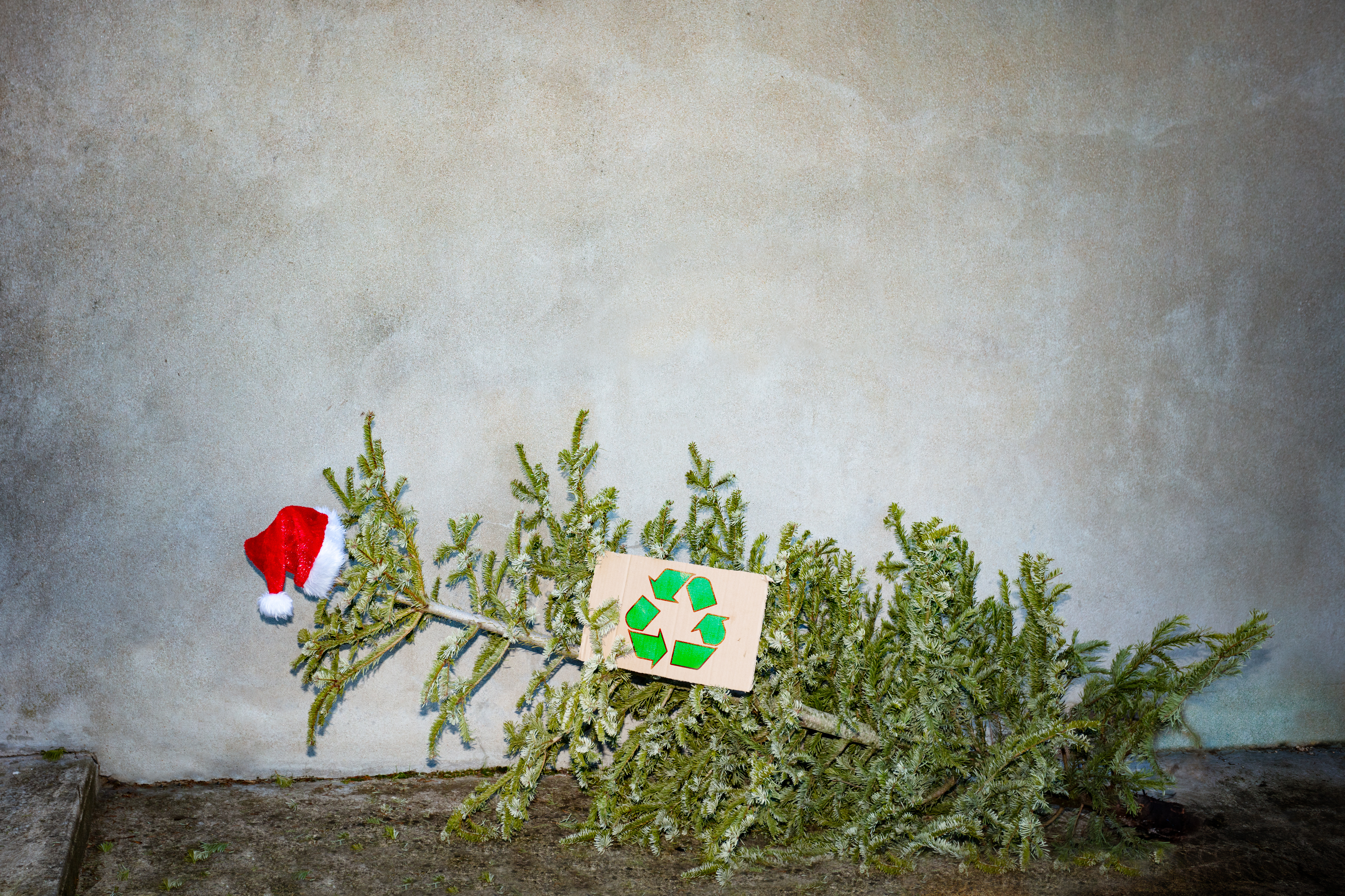 Aflever dit brugte juletræ på havnen