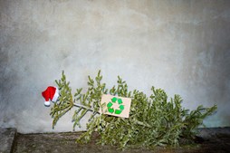 Aflever dit brugte juletræ på havnen