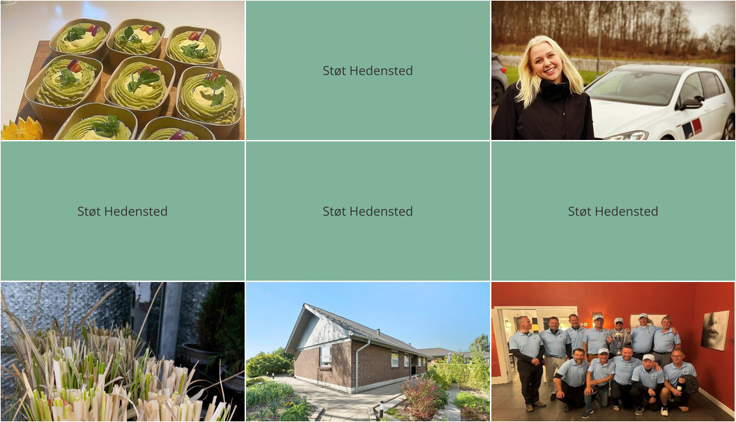 Nyt fra EDC Hedensted, Beringsslagteren ApS, Lets Drive og 2 andre