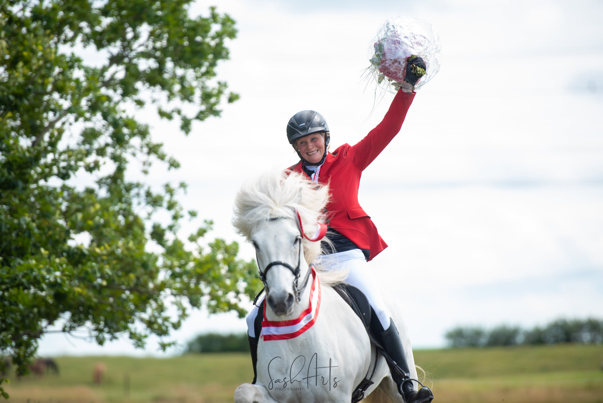 Danmarksmesterskaberne for Islandske heste