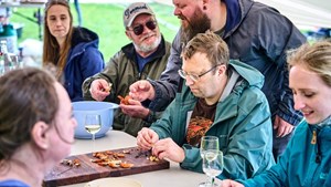 Oplev Lillebælts hemmeligheder og Fredericia Streetfood Festival i Kanalbyen