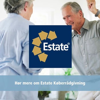 Opslagsbillede