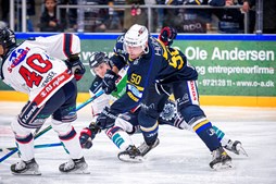Blue Fox blev besejret af effektive White Hawks