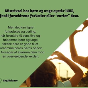 opslagsbillede