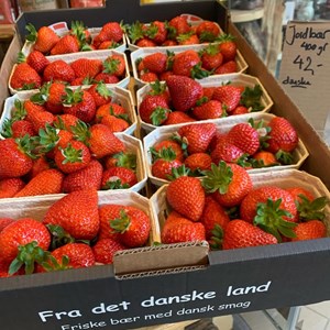 Opslagsbillede