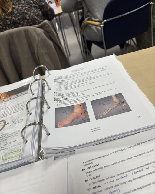 Klinik-Laursen dykker ned i hælspore og akupunktur i undervisningen