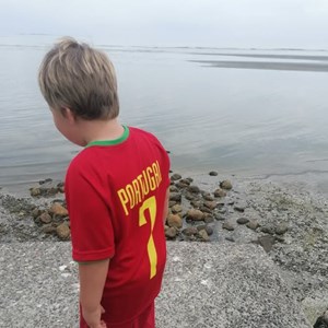 Opslagsbillede