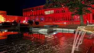 Fredericia Art Festival lyser op i novembermørket