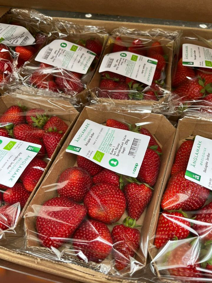 Opslagstavlen: Nyeste opdateringer fra Odder