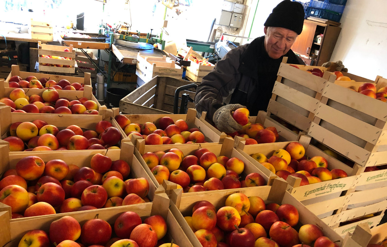 På Karensminde Frugtplantage har æble-Bendt dyrket frugter og bær i snart 90 år