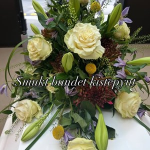Opslagsbillede
